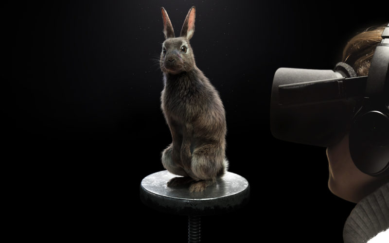 PETA EYE TO EYE Virtual Reality Dialog