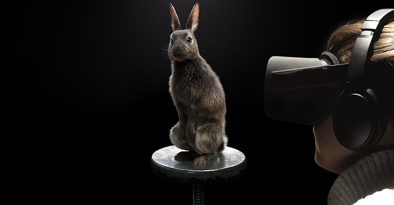 PETA Gives Animals a Voice: “Eye to Eye” – the First Virtual Reality  Dialogue Between Humans and Animals