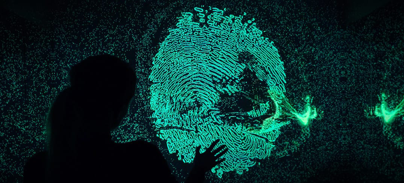 Inside our Audiovisual Art Experience IM.PRINT